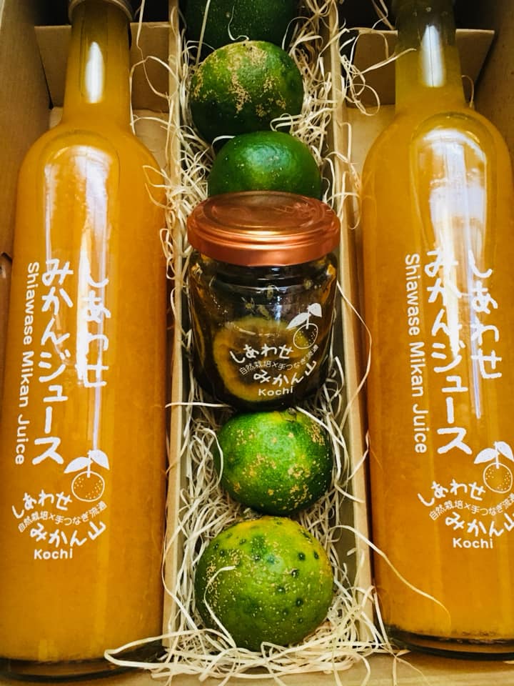 「今回は、青みかんとセットです♪」ーー四季の定期便ーー