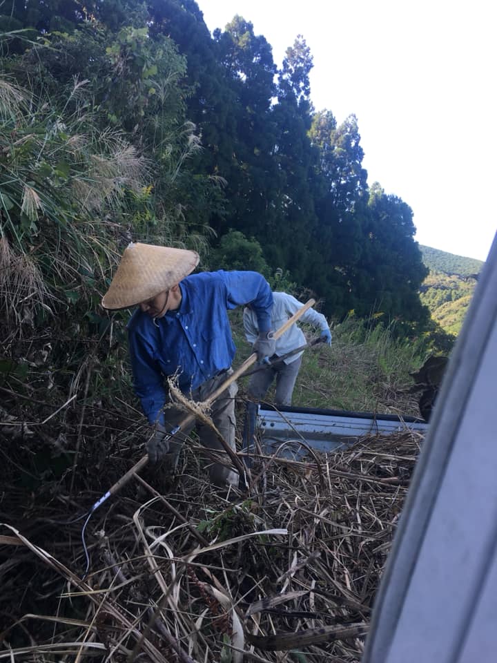 「台風一過！