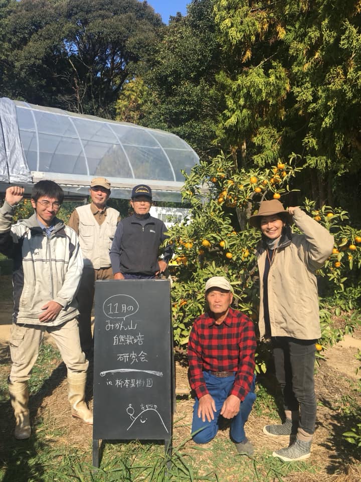 「11月のみかん山自然栽培研究会