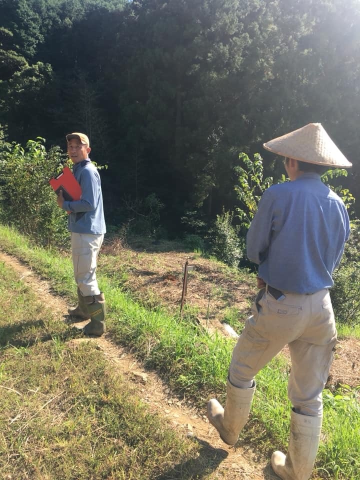 「みかん山の中にはどんな植物がある?」