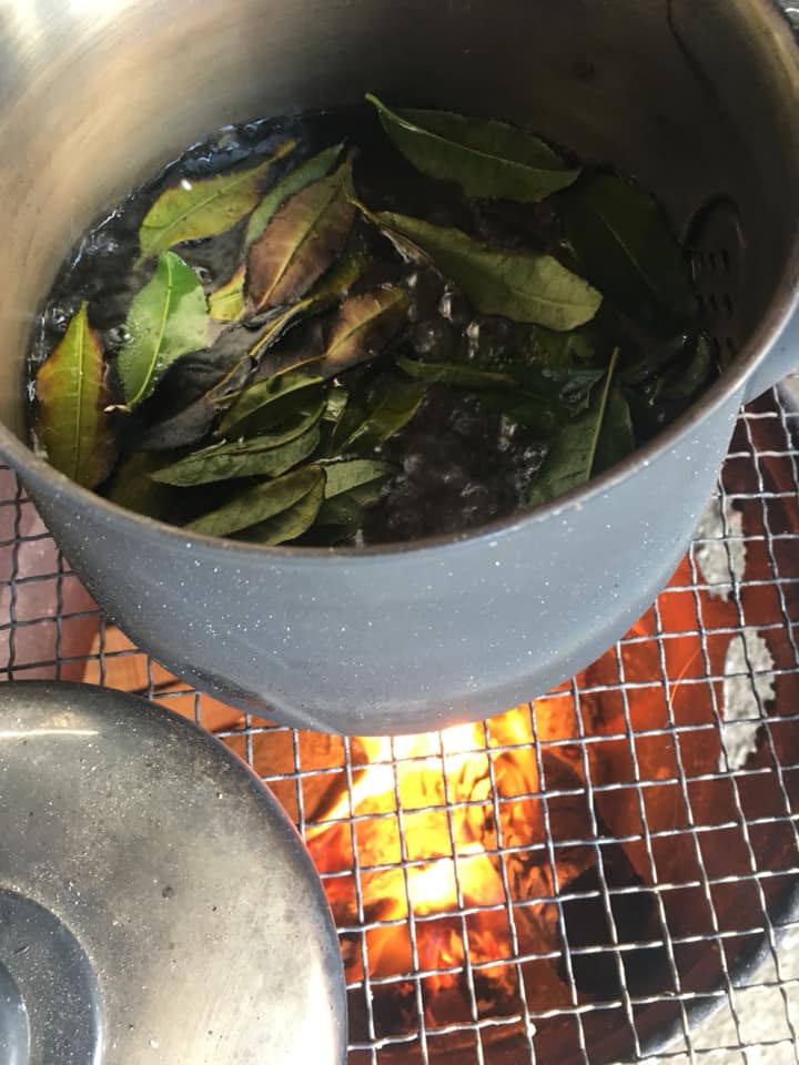 「山茶体験♪