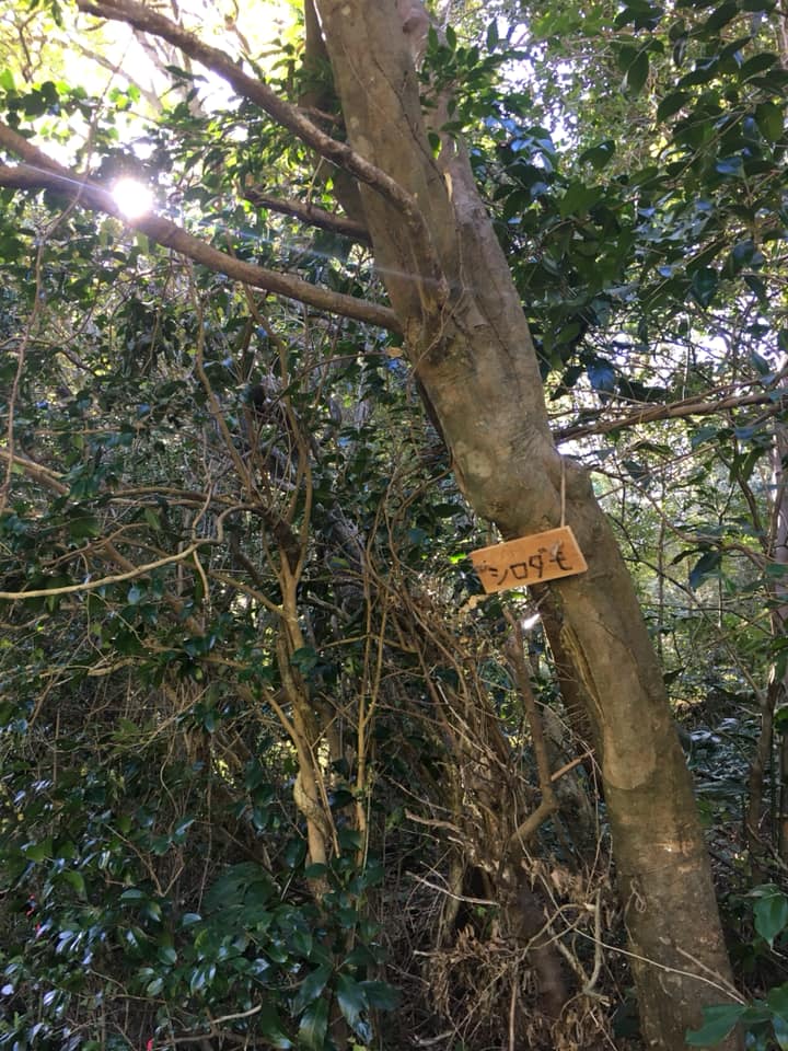 「環境学習を学びに」ーみかん山ビオトープ計画も進行中です♪ー