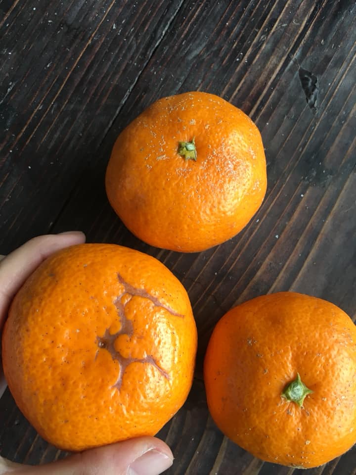 「しあわせみかんは、個性豊な味があります♪