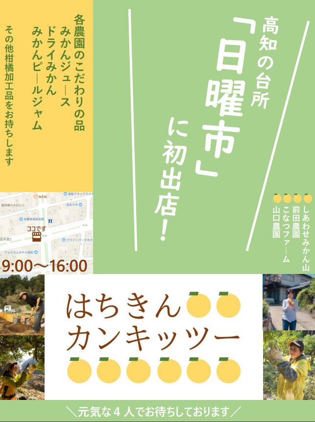 「高知といえば、日曜市！！ 　ーーはちきんカンキッツー2回目の出店決定♪ーー