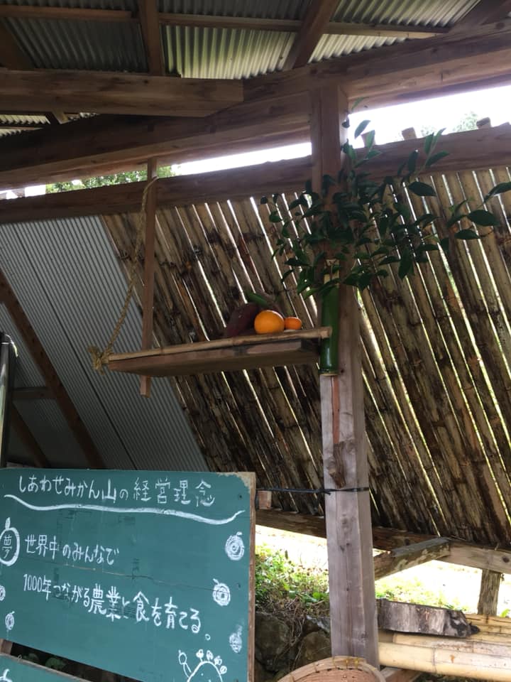 「みかん山のお正月準備②」