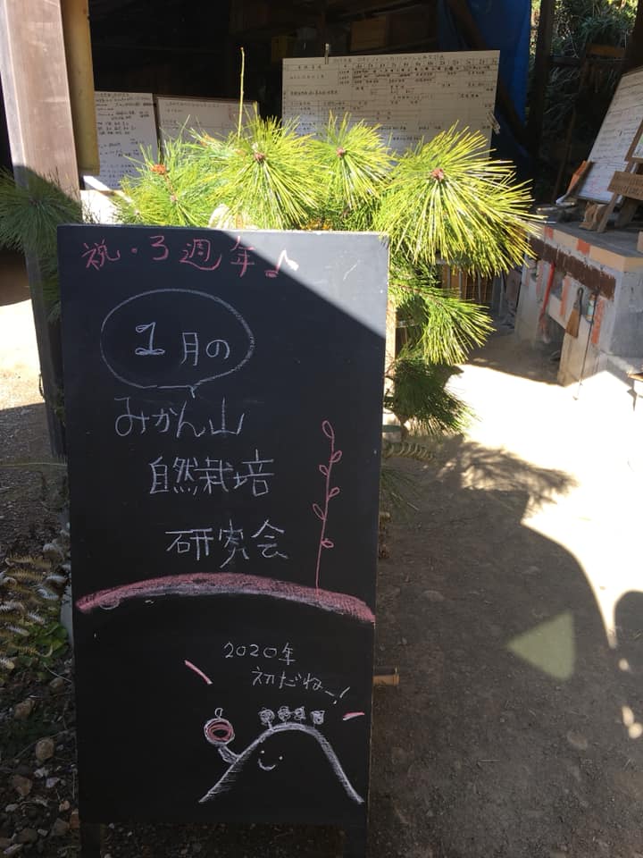「みかん山自然栽培研究会、3周年♪