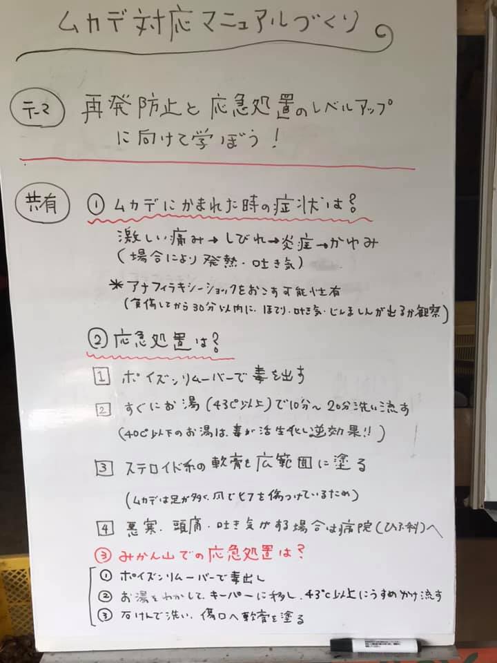 「ムカデに噛まれたら②」