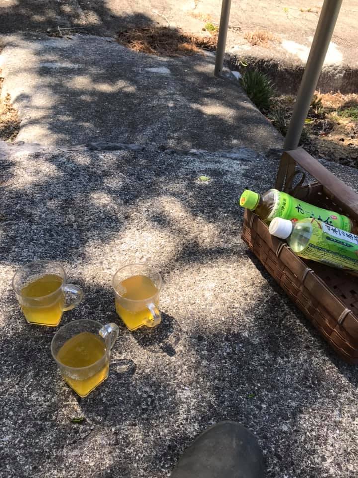 「木陰が気持ち良い季節です