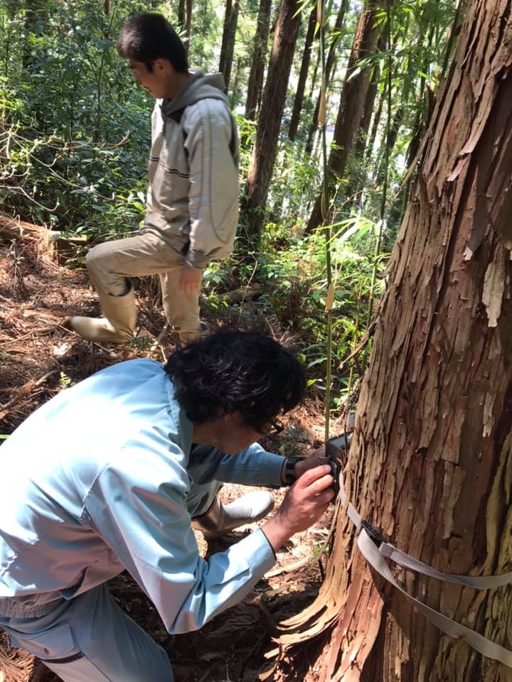 「みかん山にはどんな生き物がいる？5月編」