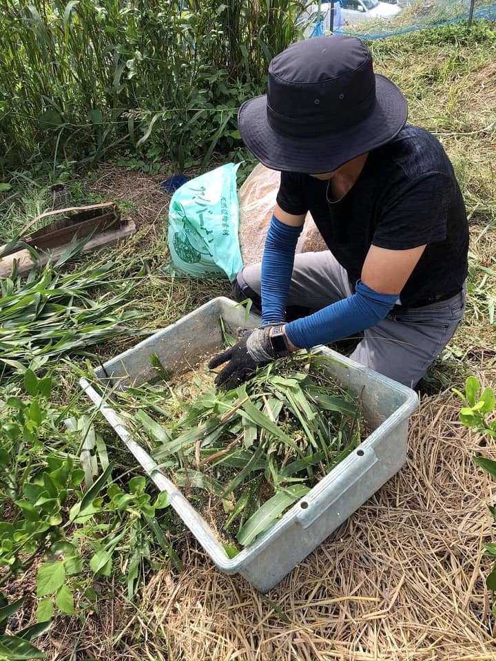 「森づくりに学ぶ土づくり②」ー日陰と陽だまりを畑につくる？ー