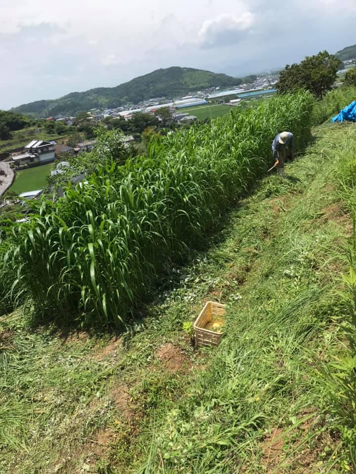 「土の学校準備中です!」