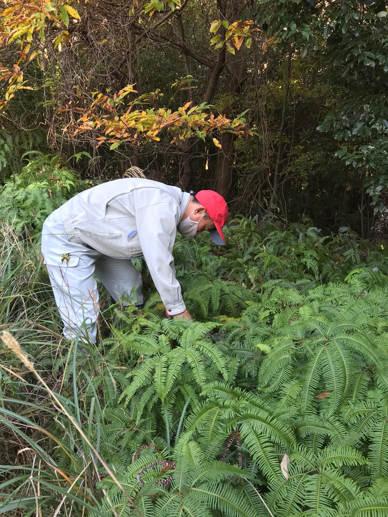 「山の中で宝探し♪」