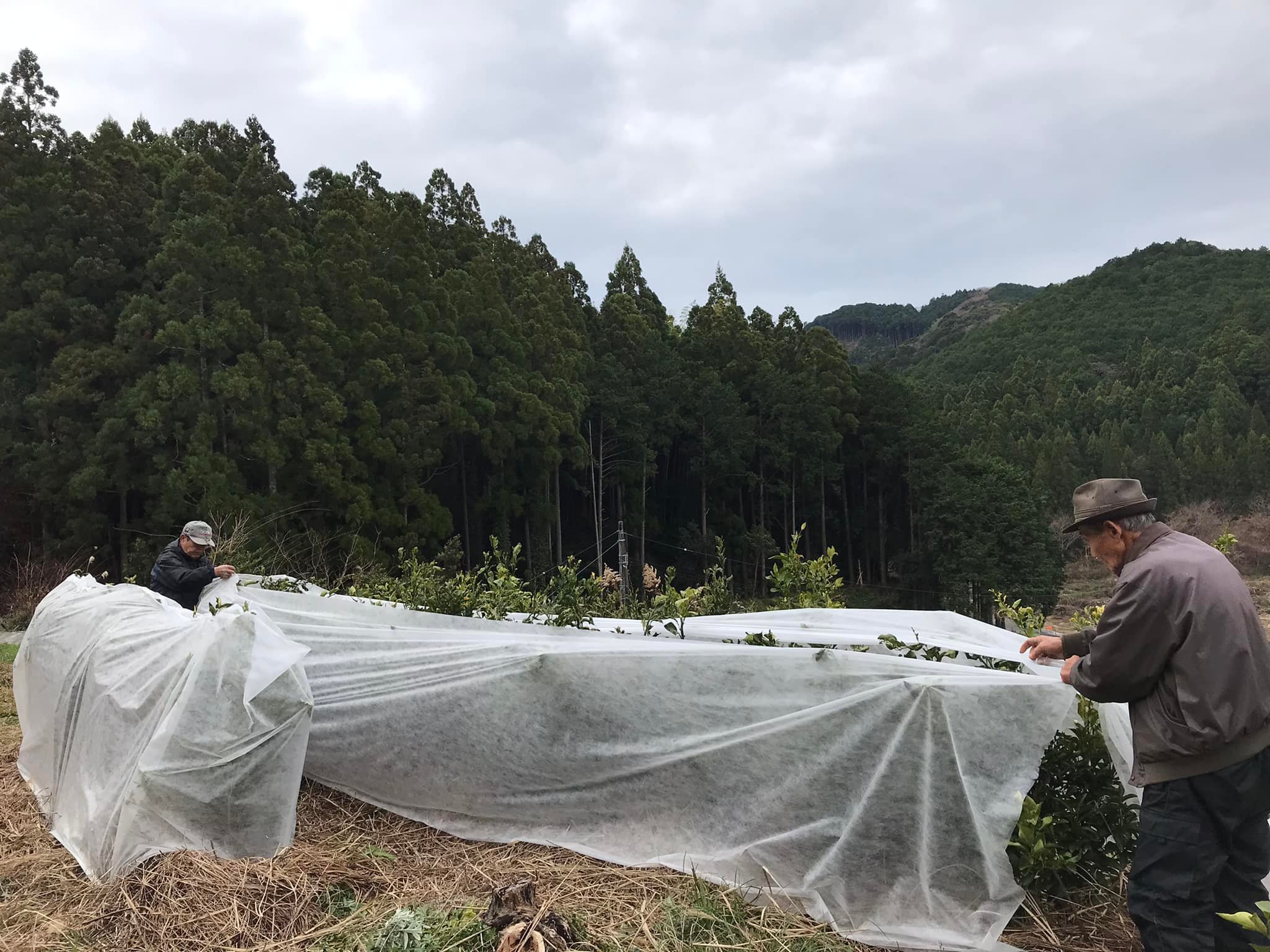 「2021年もありがとうございました」