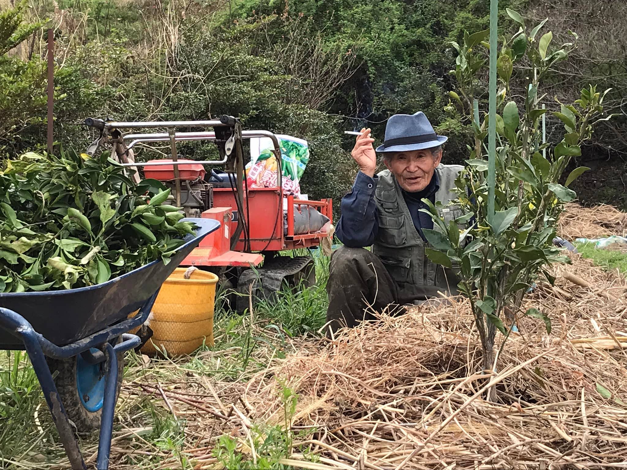 「田舎の香水」