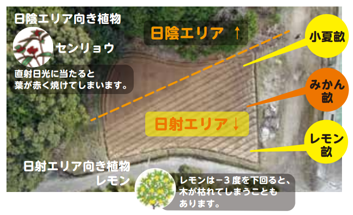 「太陽光を活かすゾーニング」